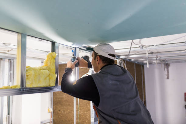Best Residential Insulation in Kent City, MI