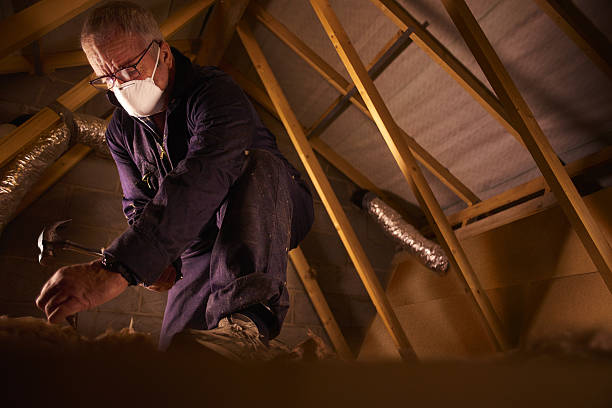 Best Specialty Insulation in Kent City, MI