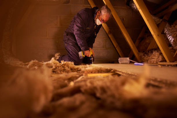 Best Insulation Installation Services in Kent City, MI